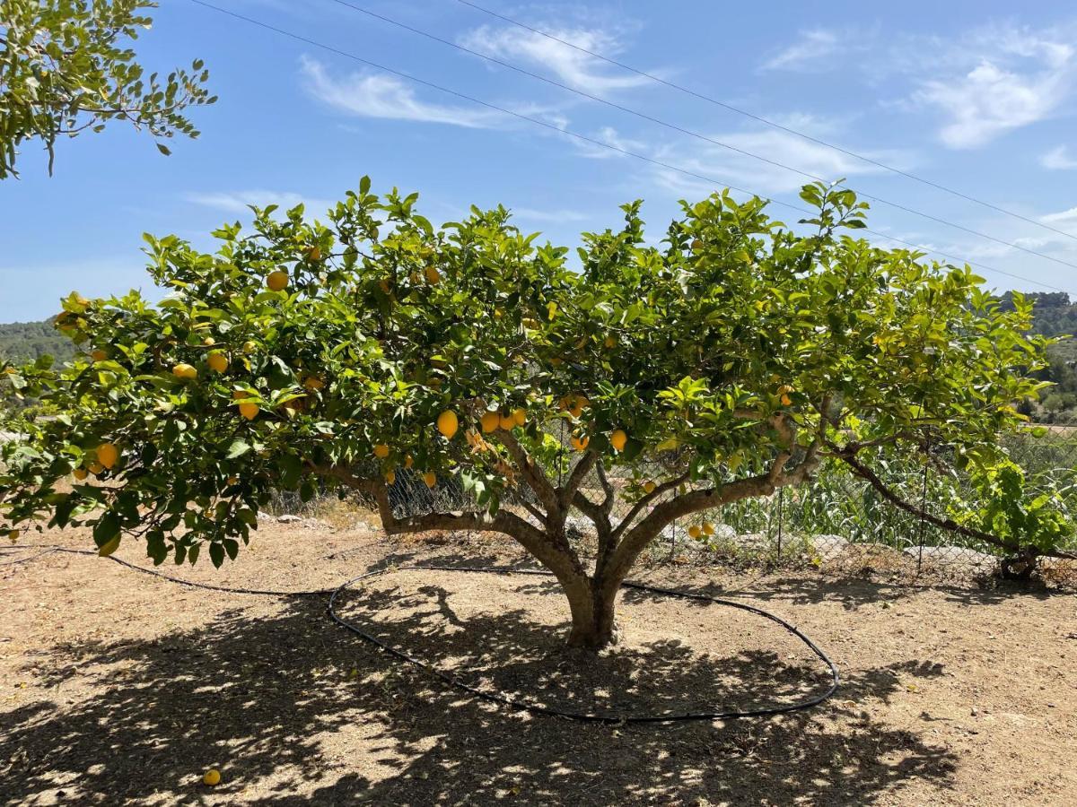 Finca Can Toni Den Real San José 外观 照片